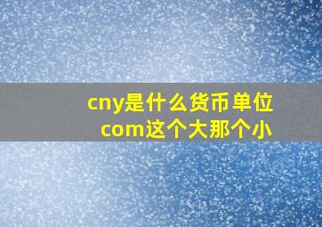 cny是什么货币单位 com这个大那个小